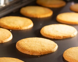 magistar-cookies.jpg magistar-cookies.jpg