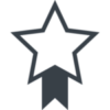 ZPR_performance_star-150x150-1.png